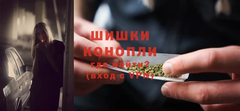 Шишки марихуана SATIVA & INDICA  цены наркотик  Богородицк 